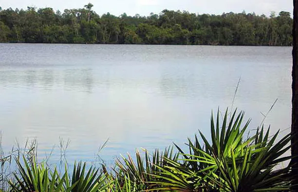 Lake Magic RV Resort main photo