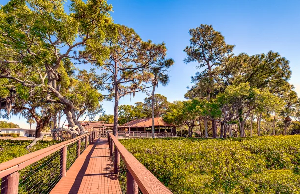 Colony Cove