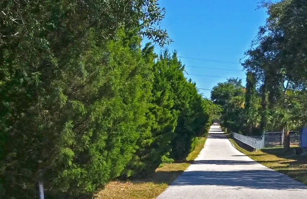 Tarpon Glen main photo