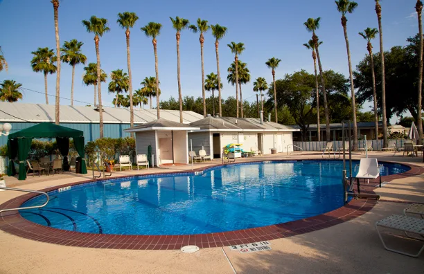Alamo Palms