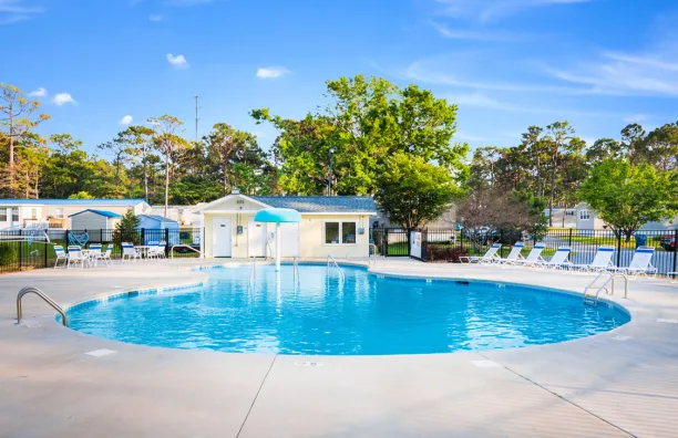 Bogue Pines main photo